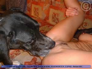 ZOO SEX Horny Black Dog Licking Wet Babe Pussy And Ass