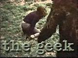 El Bigfoot como actor porno