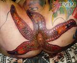 Anal Starfish Tattoo 2 Anal Starfish Tattoo
