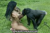 Reviews of all the best animal sex sites here : Animalsex xXx