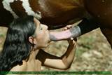 bestiality porn beautiful girl deep rammed by a huge horsecock