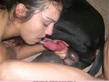 k9 dog cum teen with a dog porn dog sex knotting video online horse ...