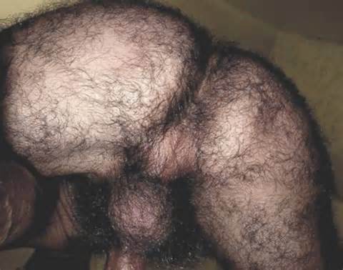 FurWorship Watch Hairy Mature Older Masculine Gay Furry Men Having