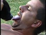 gay dog collar sex boy animal sex animal sex with males man has sex ...