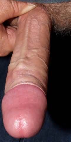My Thumbnails Uncut Big Cock Powered By PhotoPost