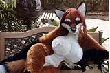 female fursuiters and couples yiff uploaded by fursuiter28 profile ...