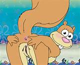 Image 846826: Sandy_Cheeks SpongeBob_SquarePants