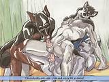 Furry Porn Gay Edition Free Pictures Of Gay Furry Sex