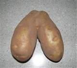 found porn balls potato