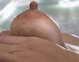fat, long, erect nipples - 1181097919.jpg
