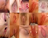 Picture Of A Female Pussy Porn Photo Amateur Pussy Female Anatomy