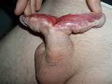 extreme cocks 37 gross ( bisection ) - 3574.jpg