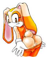 362703 - Apostle Archie_Comics Cream_the_Rabbit Sonic_Team.jpg