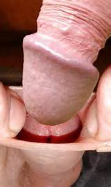 COCK DOCKING SOUNDING [4 pictures]