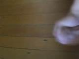 brother cums alot porn streaming sexy clip